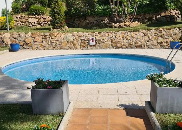 Hébergement de vacances Casa Orquidea *